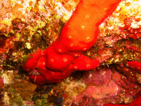 aCIMG6823