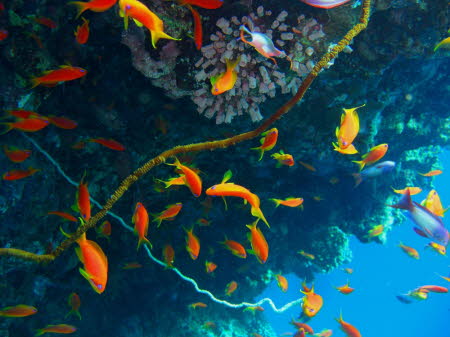 aCIMG8486