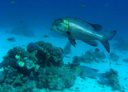 aCIMG8493