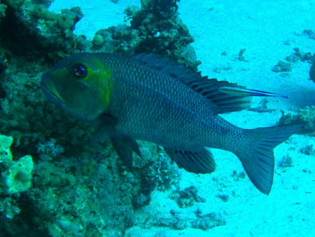 aCIMG8494