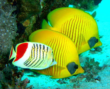 aCIMG8497