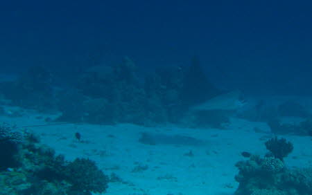 aCIMG8556