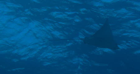 aCIMG8567