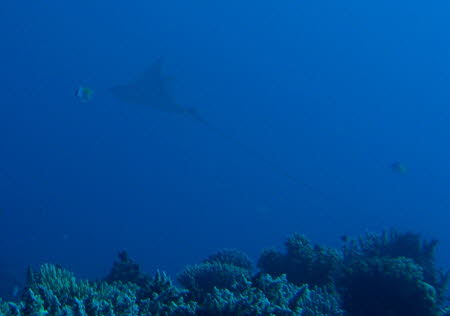 aCIMG8604