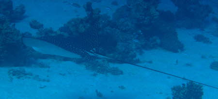 aCIMG8612