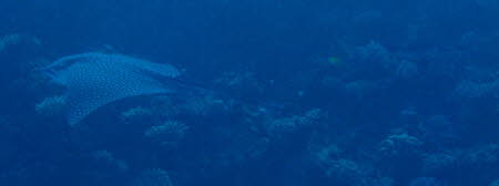 aCIMG8617