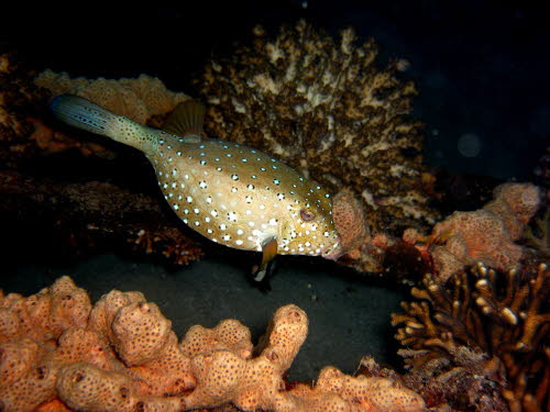 aCIMG8839