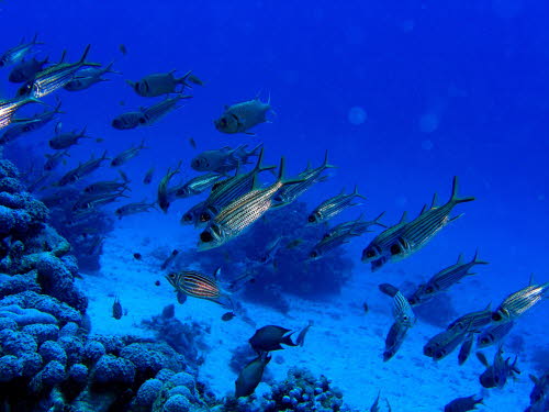 aCIMG9017