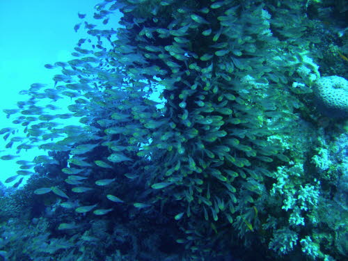 aCIMG9182