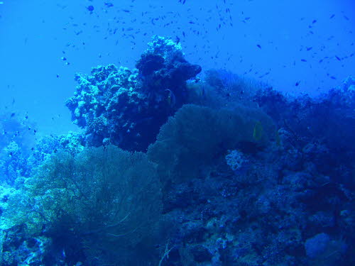 aCIMG9242