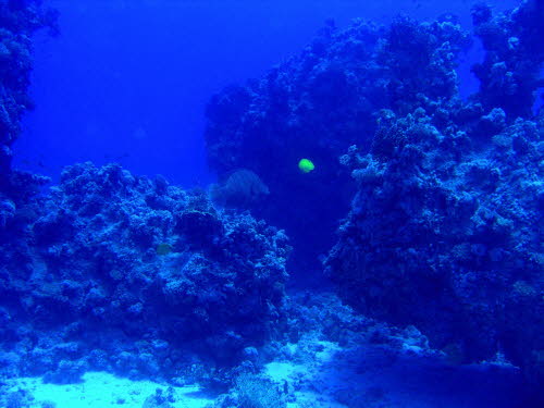 aCIMG9254