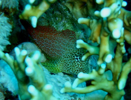 aCIMG9937