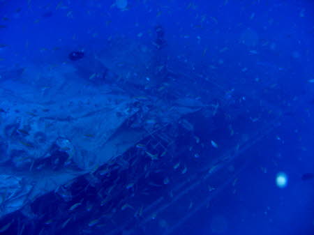 mCIMG6495